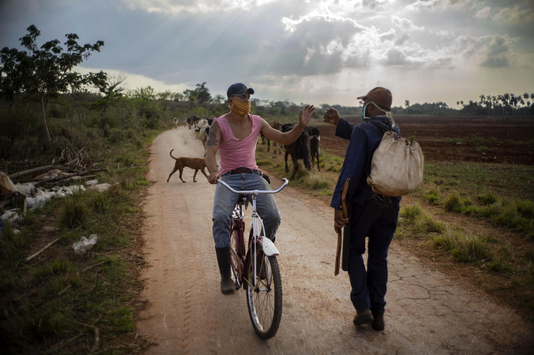 APTOPIX Virus Outbreak Cuba